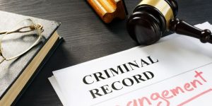 Criminal Record In Michigan